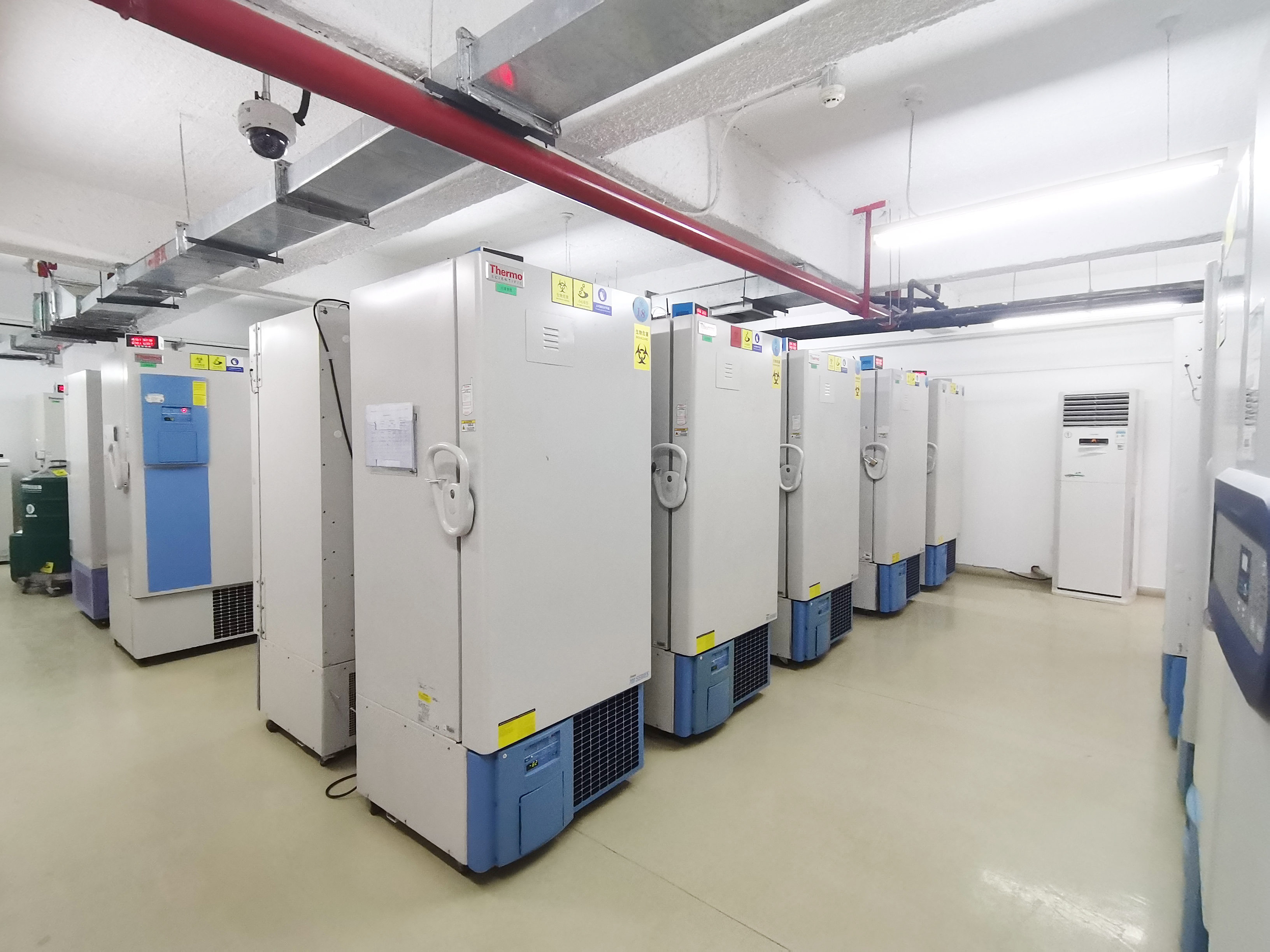 20211115163695469733.jpg 4b61fe99f25ed252fa0546e767b1fcd.jpg